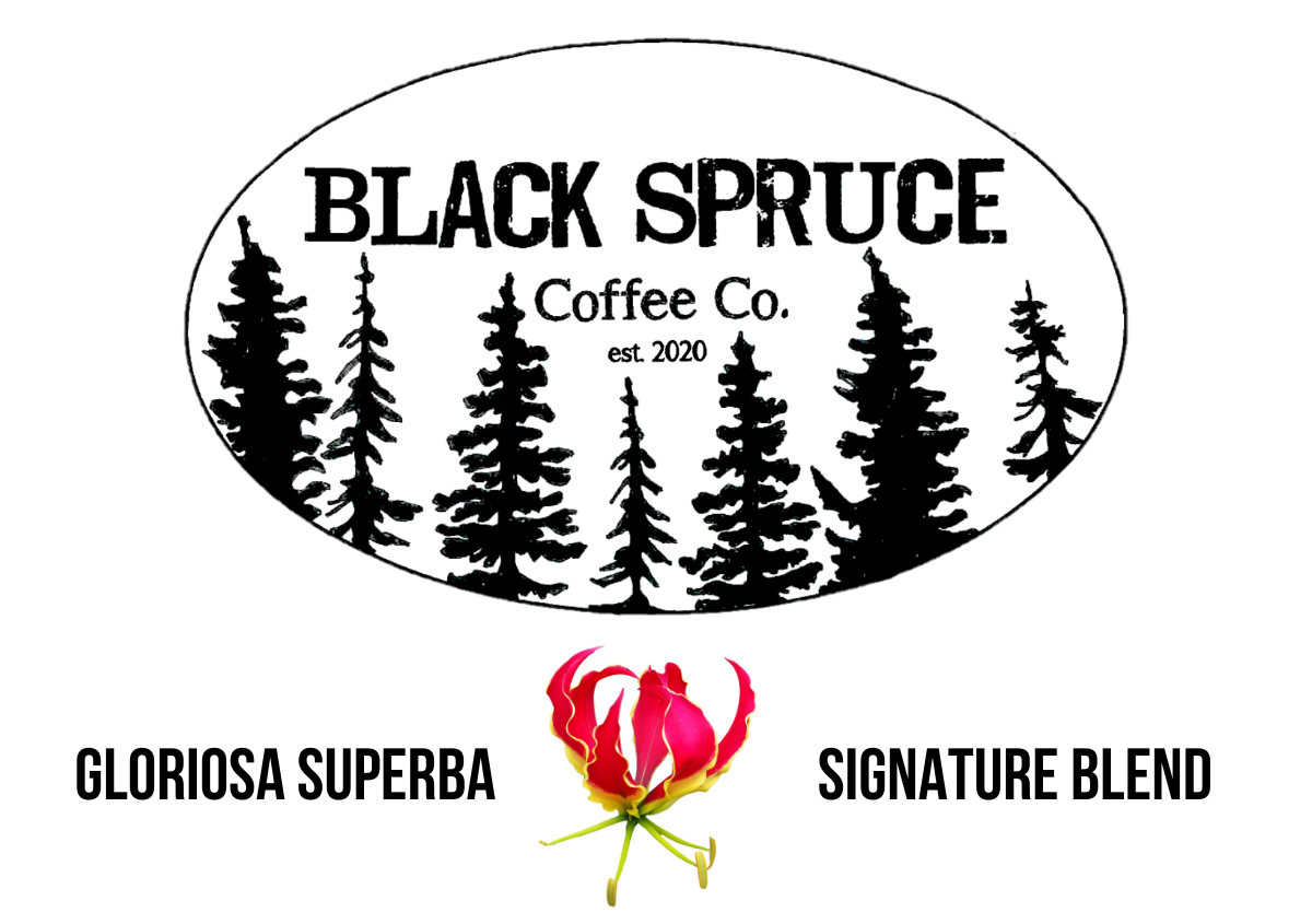 Gloriosa Superba (Flame Lily): Signature Blend