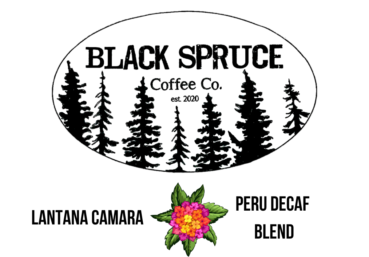 Lantana Camara (Lantana): Peru Decaf Blend
