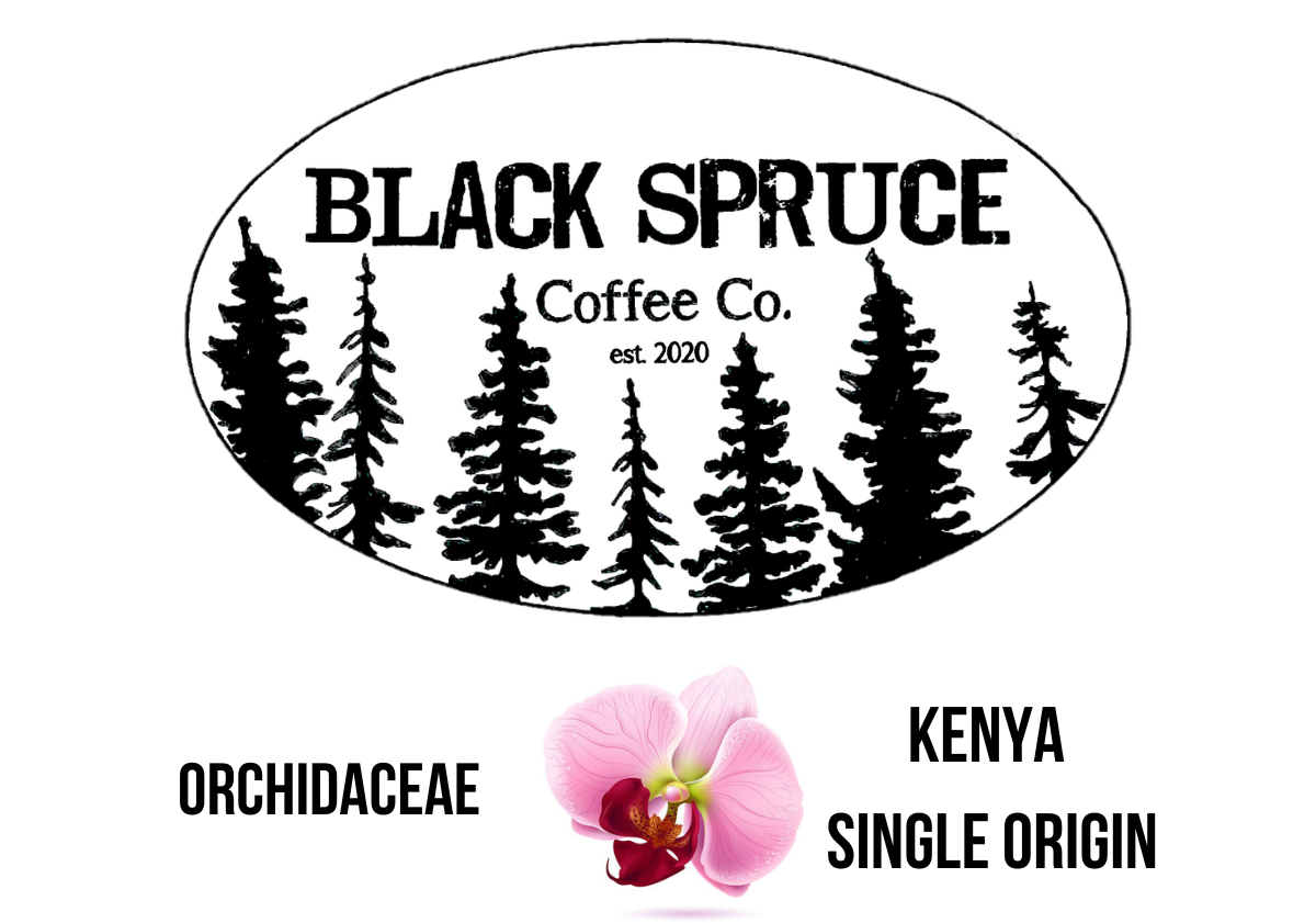 Orchidaceae: Kenya Single Origin Whole Beans